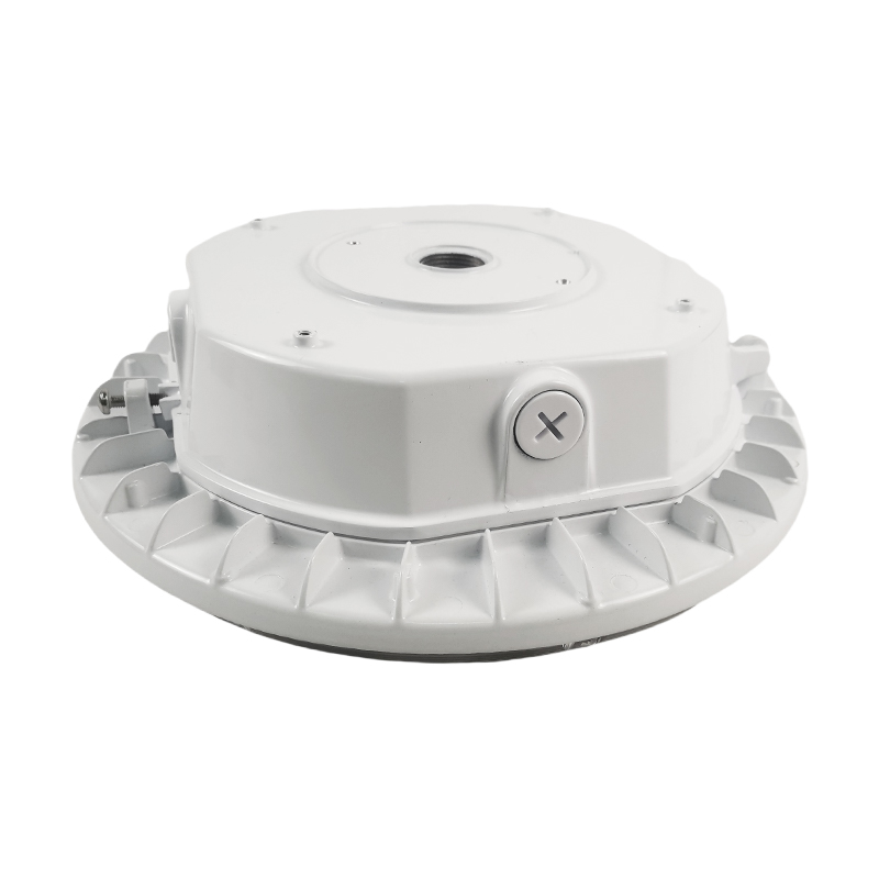 CPSL100 Canopy  Light
